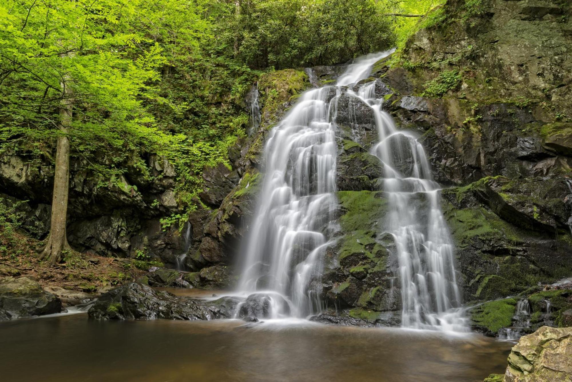 ガトリンバーグ Smoky Mountain Gemヴィラ エクステリア 写真